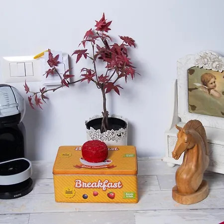 ニド デイ ガッビアーニ 4*