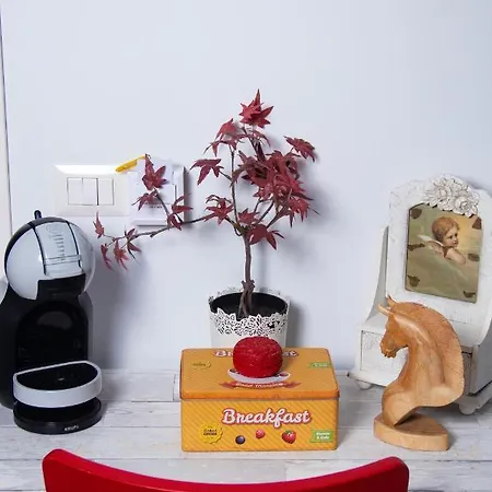 ニド デイ ガッビアーニ